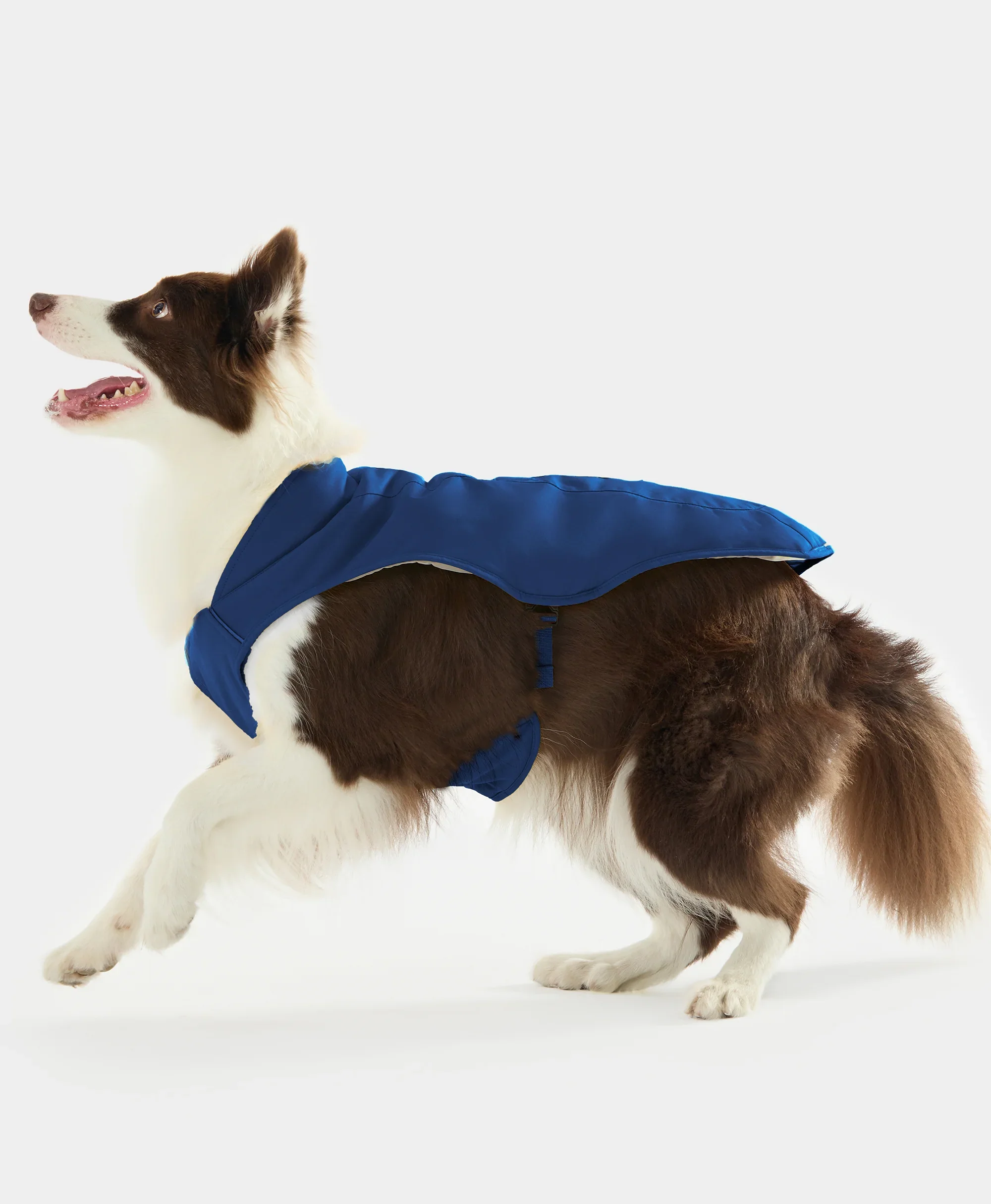 Koldpwoof Heated Dog Vest - Image 12