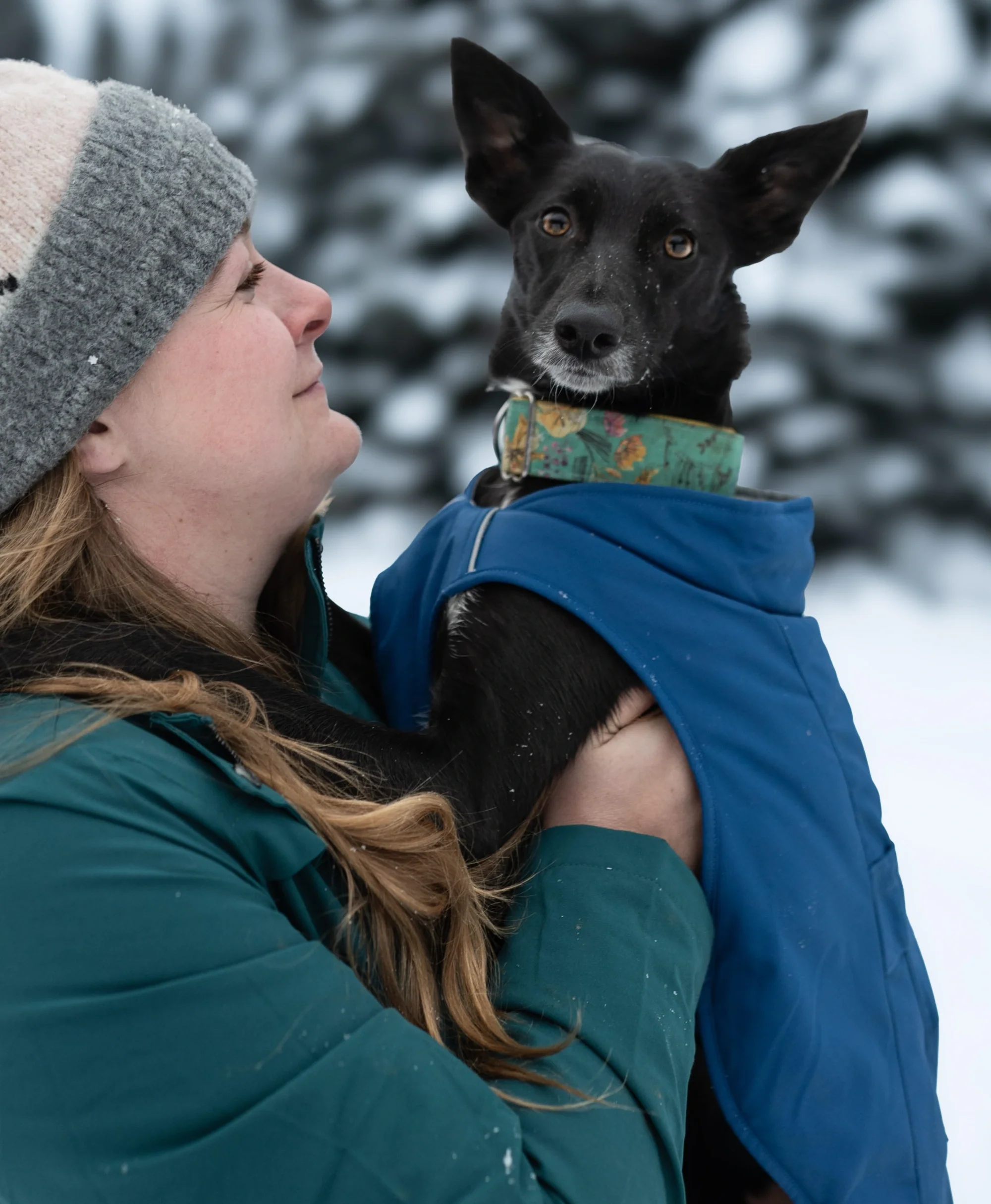 Koldpwoof Heated Dog Vest - Image 15